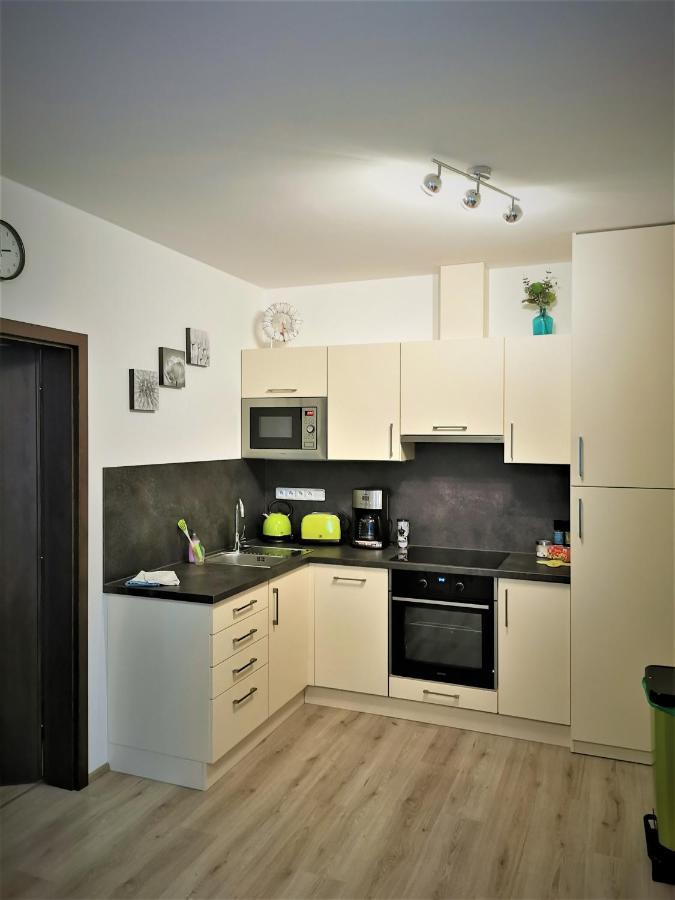 شقة Loučná pod Klínovcem  في Apartman 5 Klinovec المظهر الخارجي الصورة